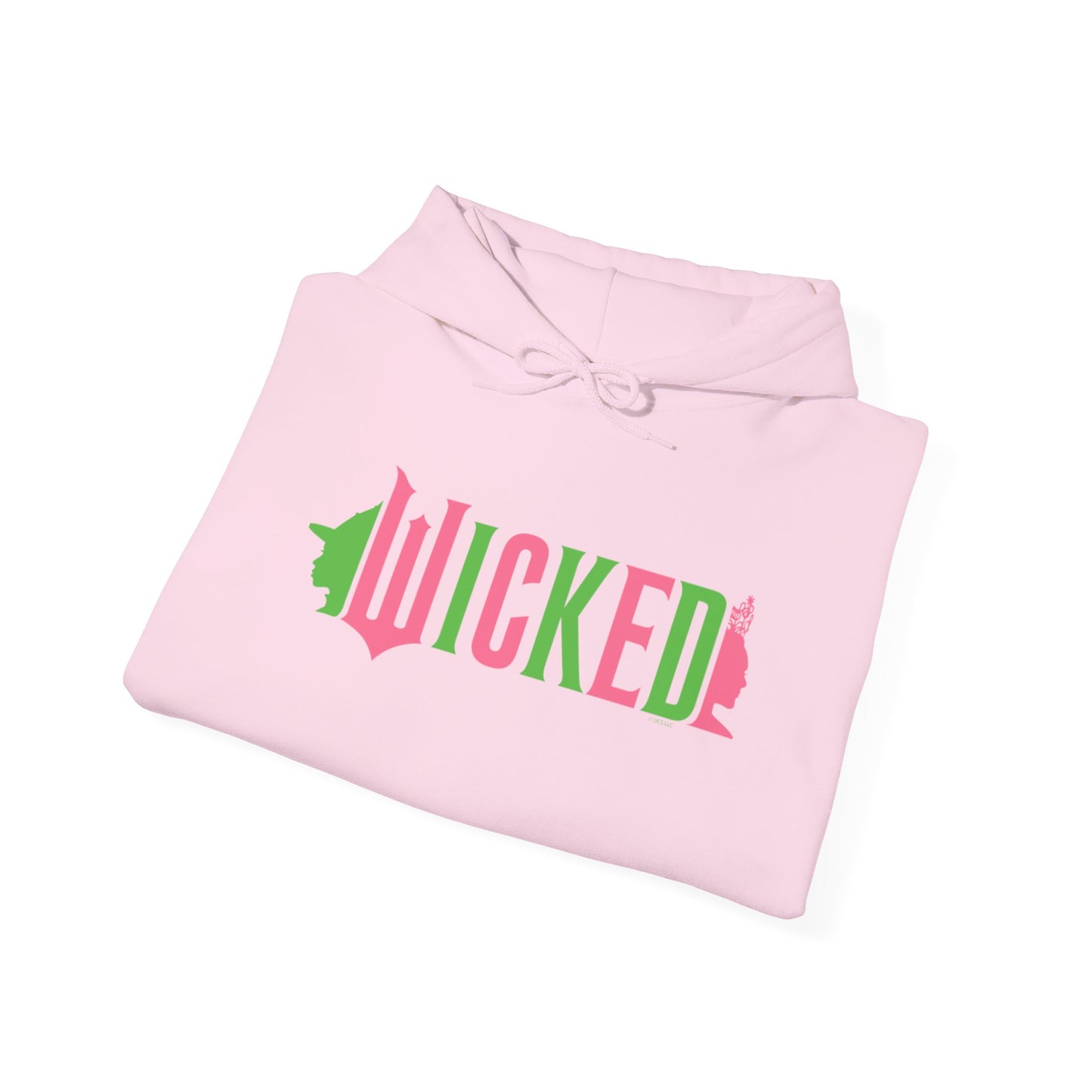 Wicked Bitche$ Hooded Sweatshirt